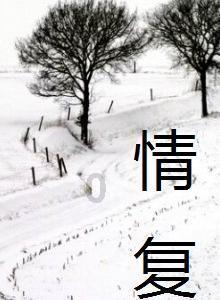 黄球大冒险无敌版
