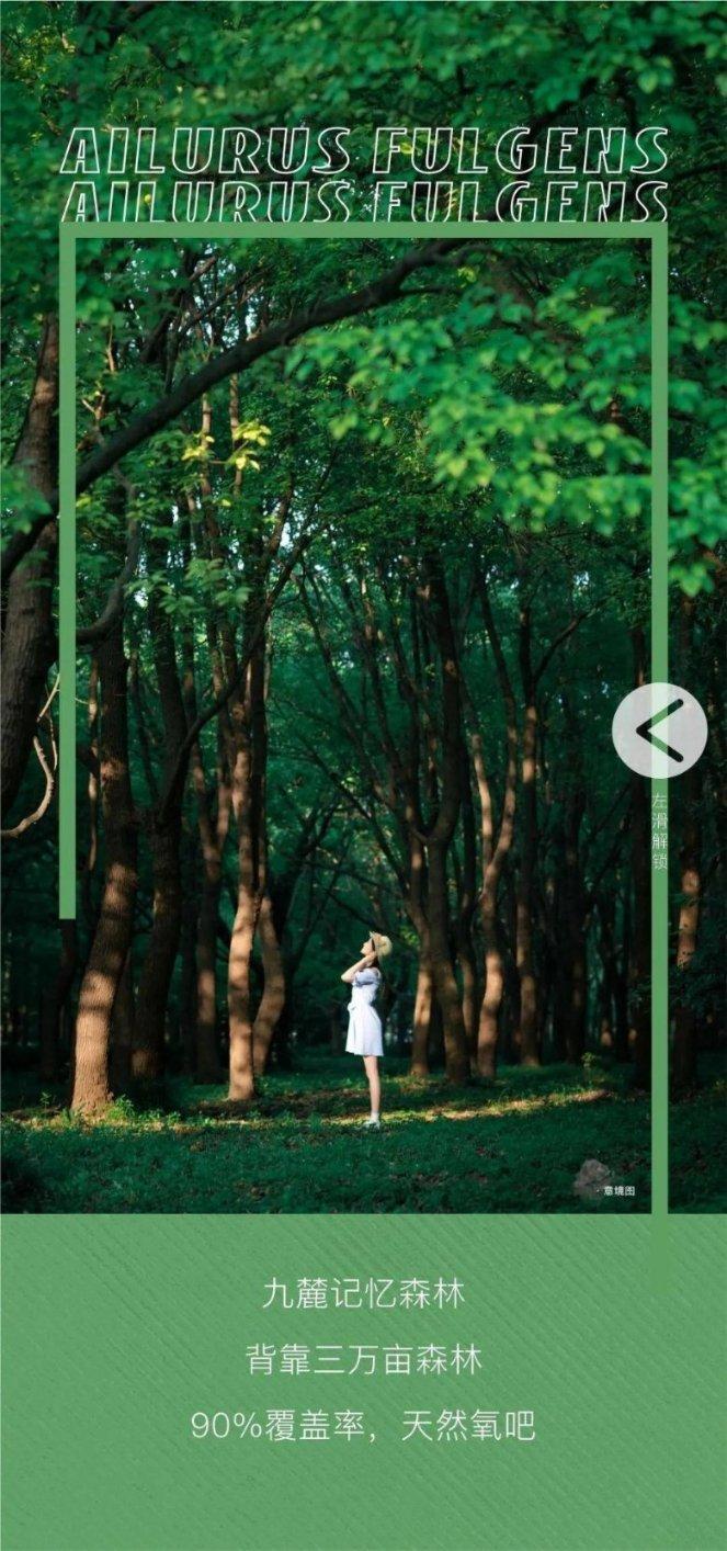 如何评价电影《把乐带回家--摘星者》？这部电影有什么深意吗？游戏画面