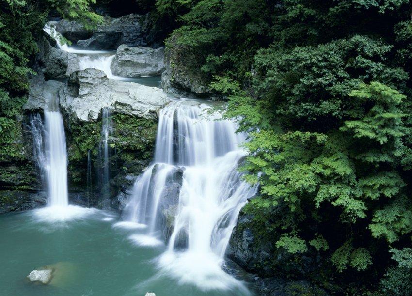 大话西游手游