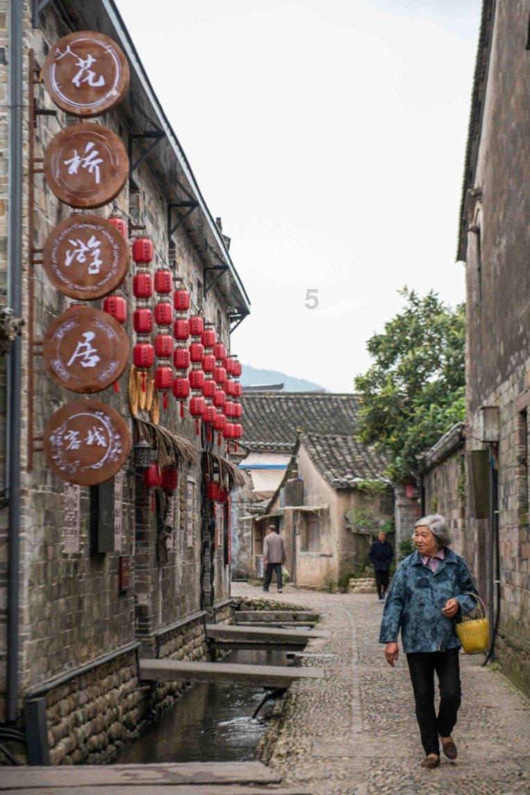 谁知道这是什么植物？游戏画面